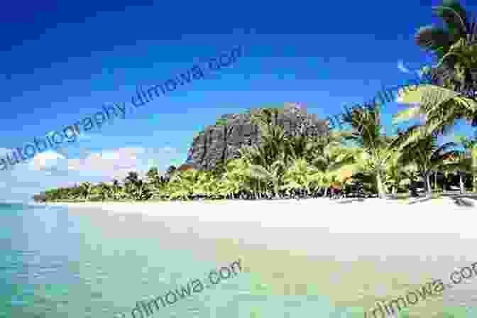 A Breathtaking View Of A Pristine Beach In Mauritius Berlitz Pocket Guide Mauritius (Travel Guide EBook)