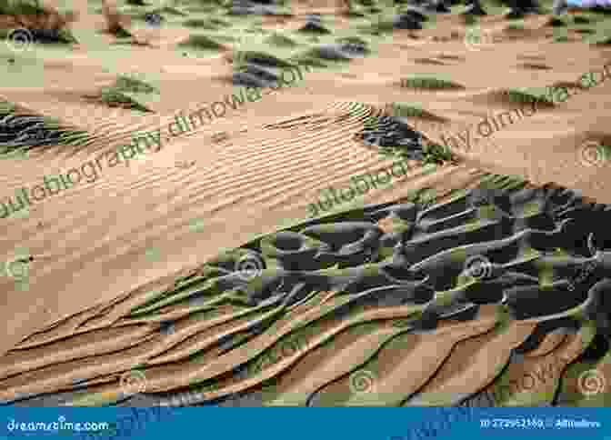 A Close Up Of A Sand Dune With Intricate Patterns Created By The Wind Atlas Of The World S Deserts