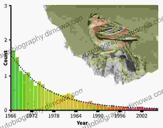 A Team Of Conservationists Monitoring Bird Populations, Working To Protect Brazil's Avian Diversity A Field Guide To The Birds Of Brazil