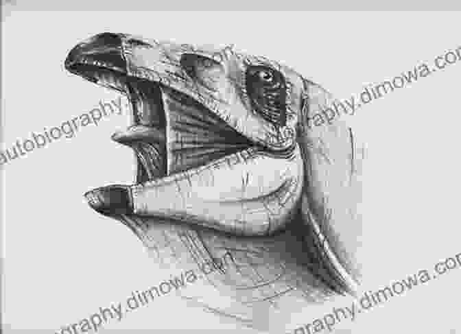 Sketch Of Stegosaurus Head And Body How To Draw Dinosaurs (A Step By Step Guide To Draw Triceratops Stegosaurus Tarbosaurus And Many More) 2 (How To Draw A Step By Step Guide 3)