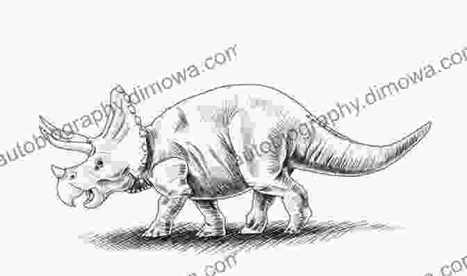 Sketch Of Triceratops With Details And Shading How To Draw Dinosaurs (A Step By Step Guide To Draw Triceratops Stegosaurus Tarbosaurus And Many More) 2 (How To Draw A Step By Step Guide 3)