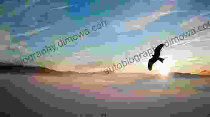 Stunning Photograph Capturing The Aerial Acrobatics Of Seabirds Soaring Above The Azure Sea Sky To Sea Zoology Winthrop Packard