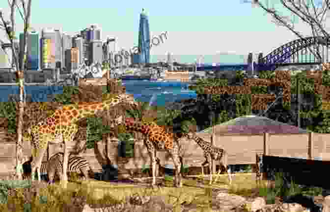 Taronga Zoo Sydney Travel Guide: With 100 Landscape Photos