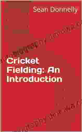 Cricket Fielding: An Introduction Tips To Improve Your Game