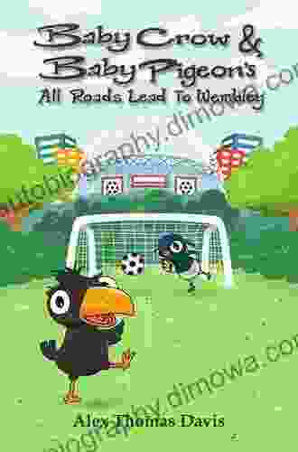 Baby Crow Baby Pigeon S All Roads Lead To Wembley