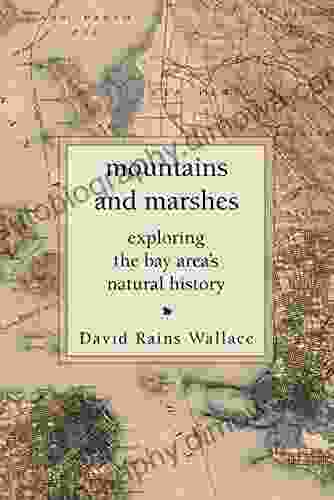 Mountains And Marshes: Exploring The Bay Area S Natural History