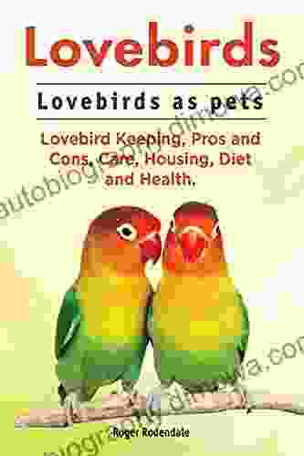 Lovebirds Lovebirds As Pets Lovebird Keeping Pros And Cons Care Housing Diet And Health