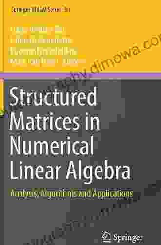 Structured Matrices In Numerical Linear Algebra: Analysis Algorithms And Applications (Springer INdAM 30)