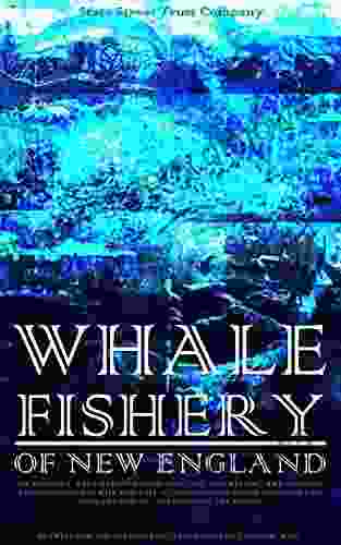 Whale Fishery Of New England (Illustrations)