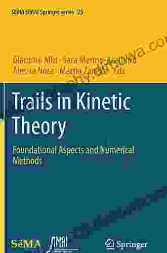 Fractals In Engineering: Theoretical Aspects And Numerical Approximations (SEMA SIMAI Springer 8)