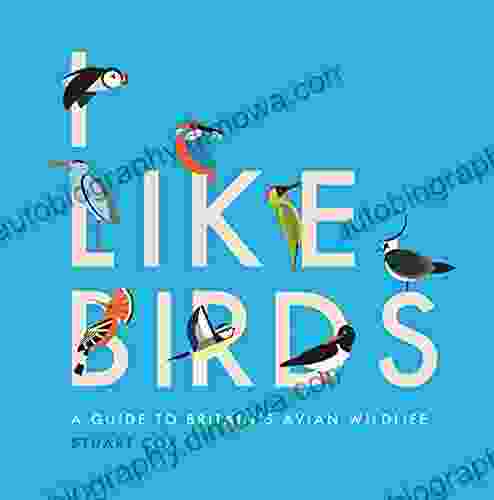 I Like Birds: A Guide To Britain S Avian Wildlife